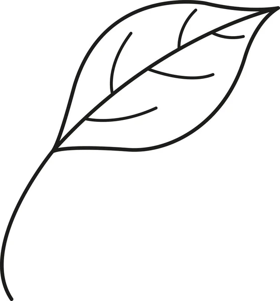 Blatt Lineares Symbol Vector Verlässt Das Logo Schwarzweißes Herbstblatt Herbstblätter — Stockvektor