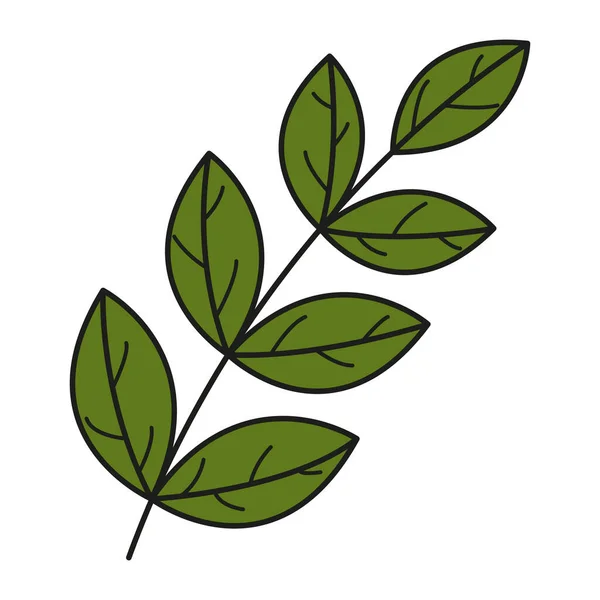 Blatt Bunte Ikone Vector Verlässt Das Logo Grünes Herbstblatt Herbstblätter — Stockvektor