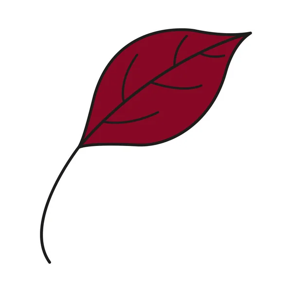 Ícone Colorido Folha Vetor Deixa Logotipo Folha Vermelha Outono Folhas — Vetor de Stock