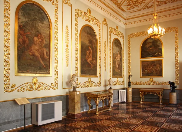 İmparatorluk hermitage Müzesi