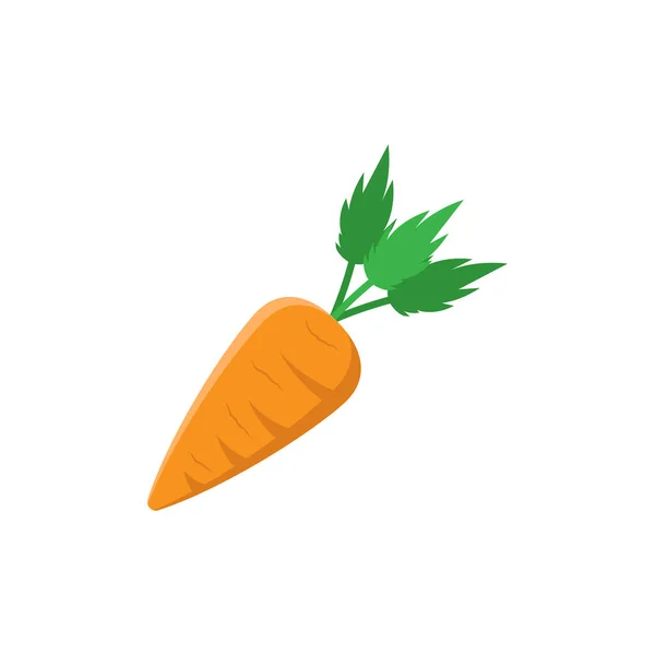 Векторні Ілюстрації Дизайну Моркви Ізольовані — стоковий вектор