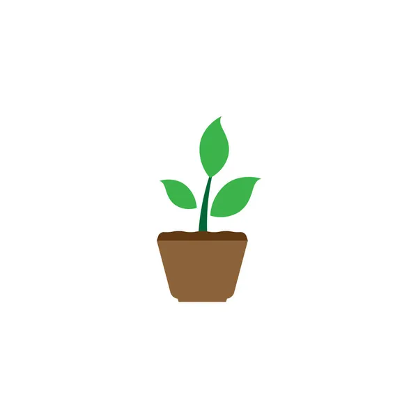 Plant Pot Icon Design Template Vector Isolated Illustration — Stock Vector