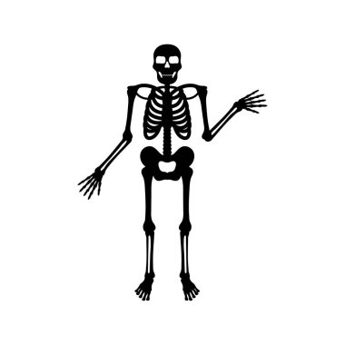 İskelet simgesi tasarım şablonu izole edildi