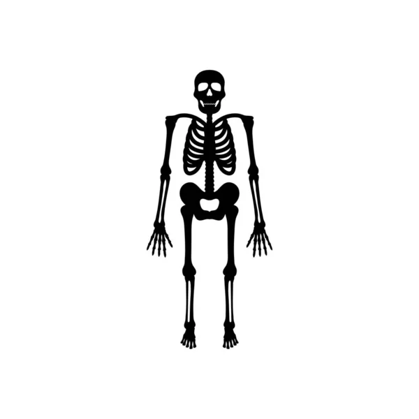 Шаблон Дизайну Іконок Скелета Вектор Ізольовано — стоковий вектор