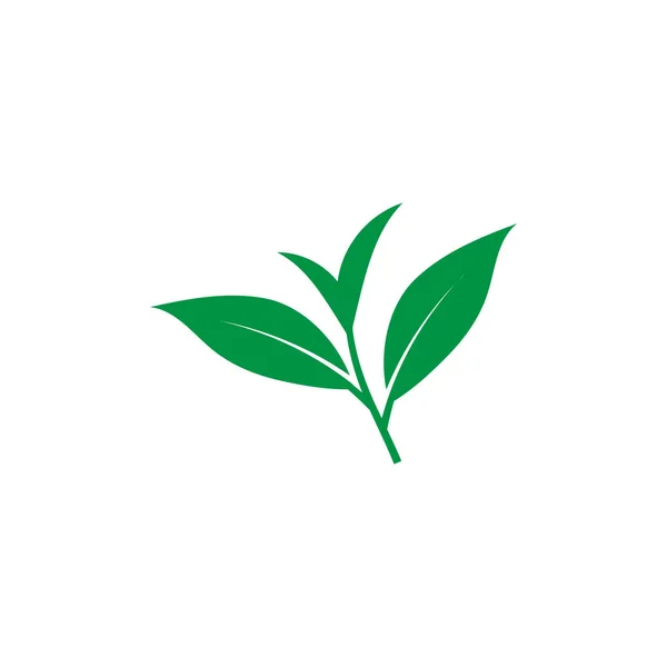 Tea Leaf Icon 디자인 템플릿 일러스트 — 스톡 벡터