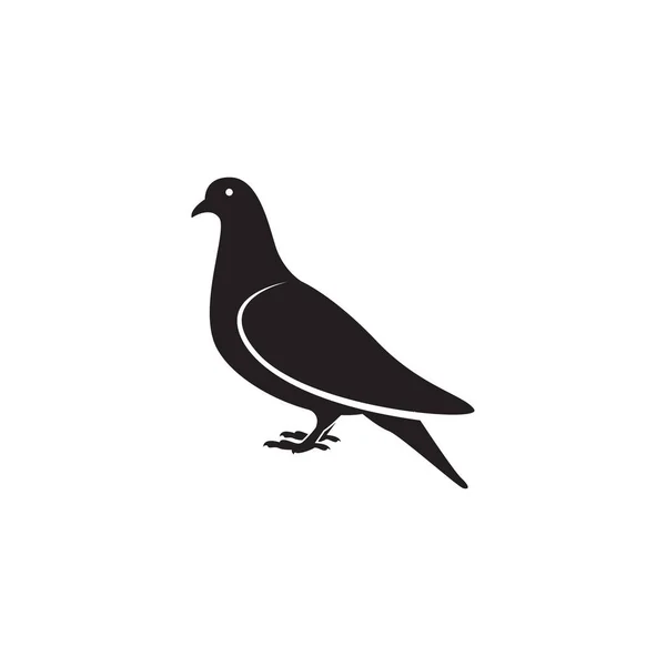 Modèle Conception Icône Pigeon Illustration Vectorielle Isolée — Image vectorielle