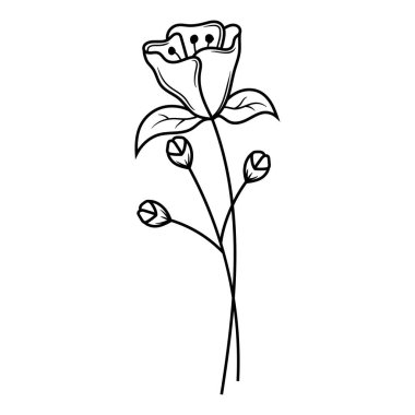 Çiçek çizgisi çizimi tasarım vektörü izole edildi