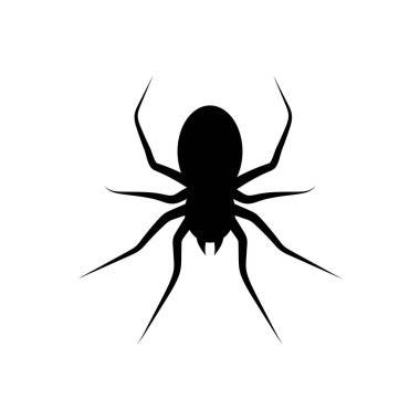 Örümcek simgesi tasarımı şablon ilülasyon vektörü