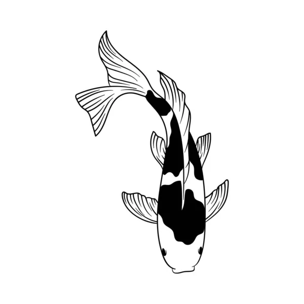Koi Fisch Ikone Design Vorlage Illustrationsvektor — Stockvektor