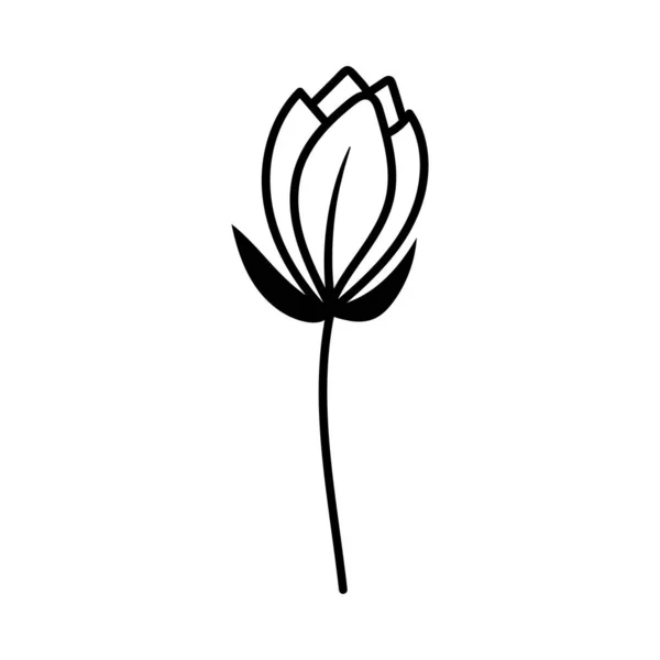 Blume Umreißt Symbol Design Vorlage Illustrationsvektor — Stockvektor