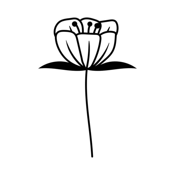 Flower Outline Icon Design Template Ilustration Vector — Stockvektor