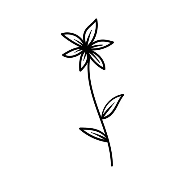 Blume Umreißt Symbol Design Vorlage Illustrationsvektor — Stockvektor