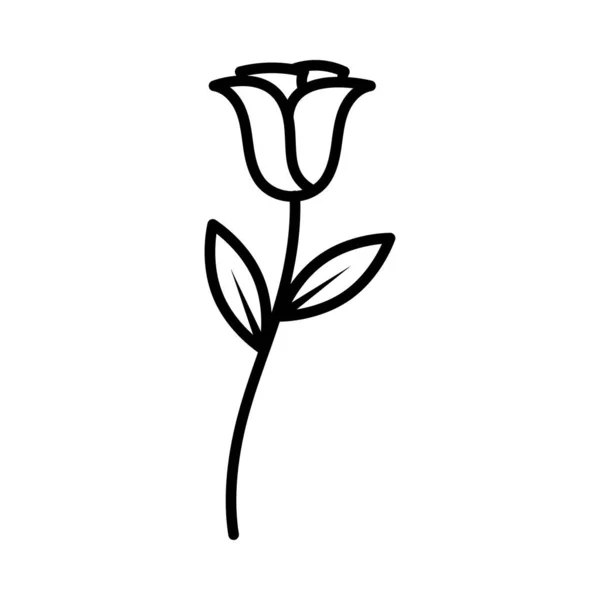Rose Umreißen Symbol Design Illustration Vorlage Vektor — Stockvektor