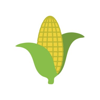 mısır simgesi tasarım şablonu vektör çizimi