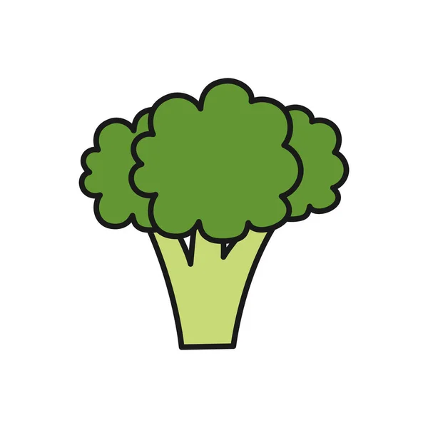 Brócoli Icono Diseño Plantilla Vector Ilustración — Archivo Imágenes Vectoriales