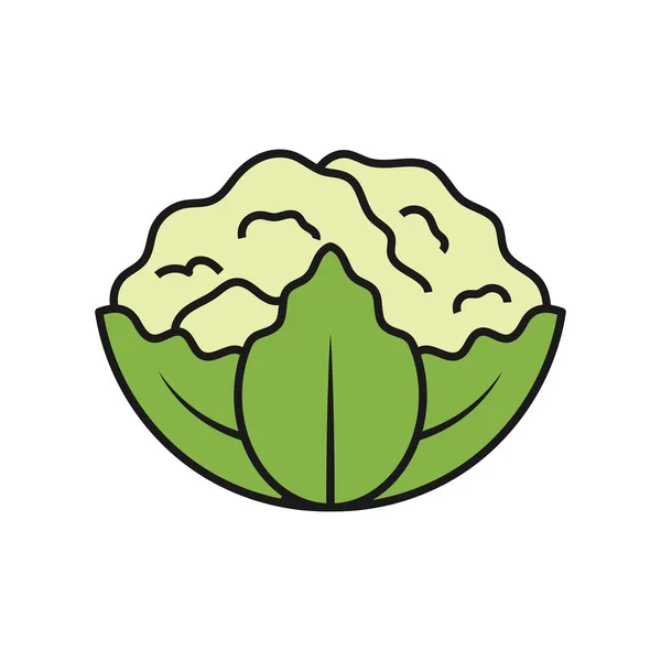 Coliflor Icono Diseño Plantilla Vector Ilustración — Archivo Imágenes Vectoriales