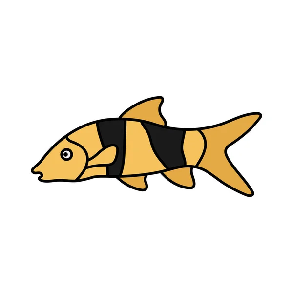 Palyaço Loach Balık Simgesi Tasarım Şablonu Çizimi — Stok Vektör