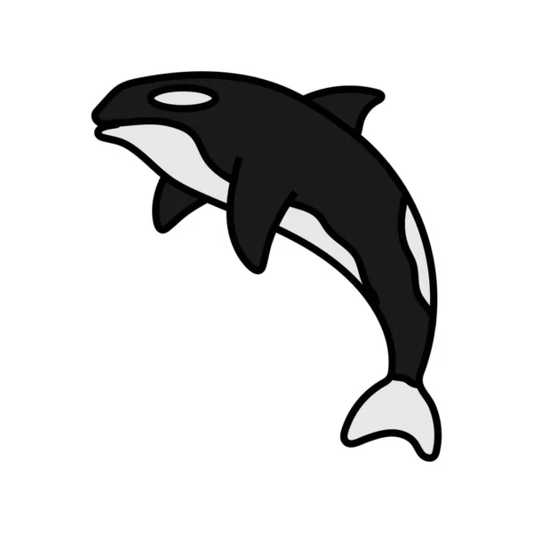 Orca Icon Design Template Vector Illustration — Stock Vector