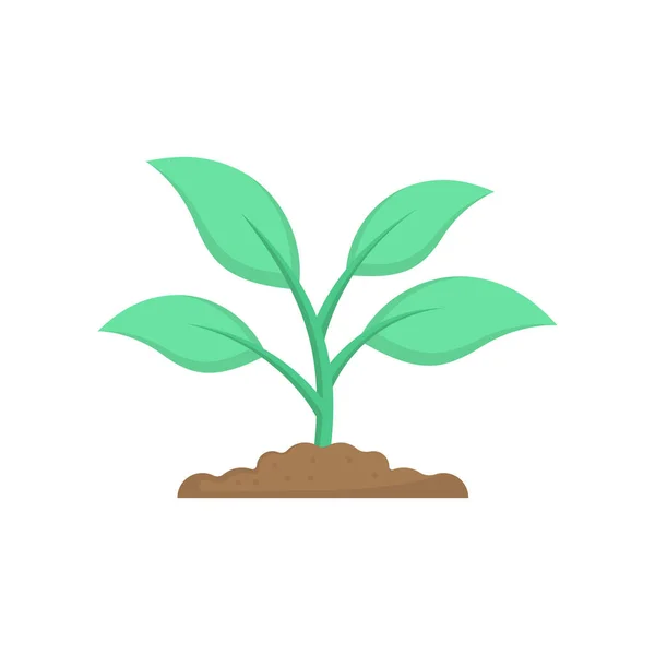 Növény Ikon Design Sablon Vektor Illusztráció — Stock Vector