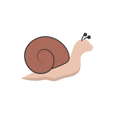 snail icon design template vector illustration