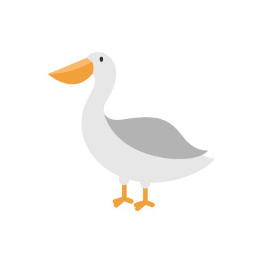 pelican icon design template vector illustration