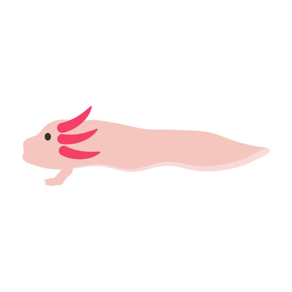 Axolotl Icon Design Template Vector Illustration — Stock Vector