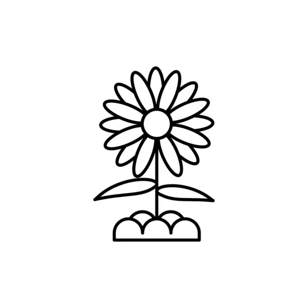 Sunflower Line Art Icon Design Template Vector Illustration — Stockvektor