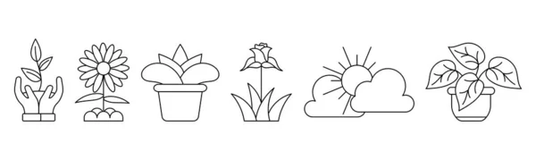 Plant Line Art Icon Set Design Template Vector Illustration — Vettoriale Stock
