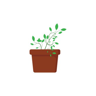 Golden Pothos icon design template vector illustration