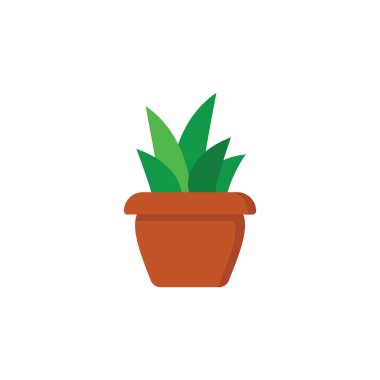 Succulent icon design template vector illustration