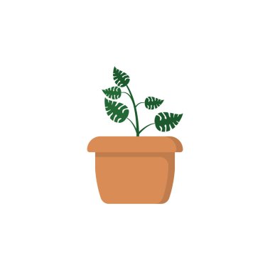 Monstera icon design template vector illustration