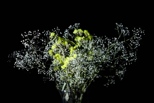 Tarla çiçekleriyle soyut arkaplan