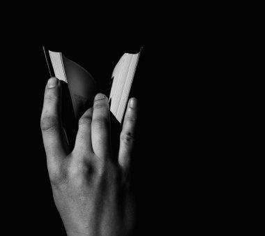 sea and rocks on the shore