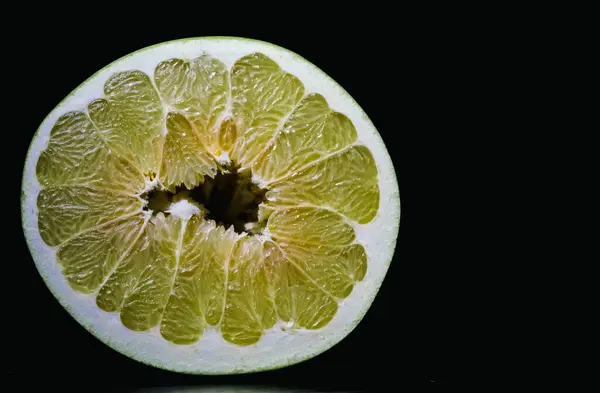 Noel ağacı dalları kapanır