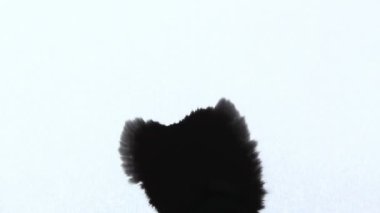 mürekkep damlaları