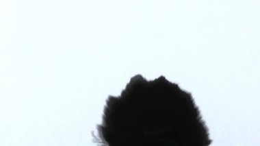 mürekkep damlaları