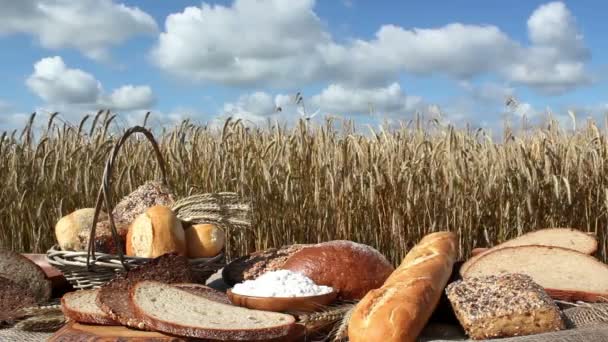 Pan y grano — Vídeos de Stock