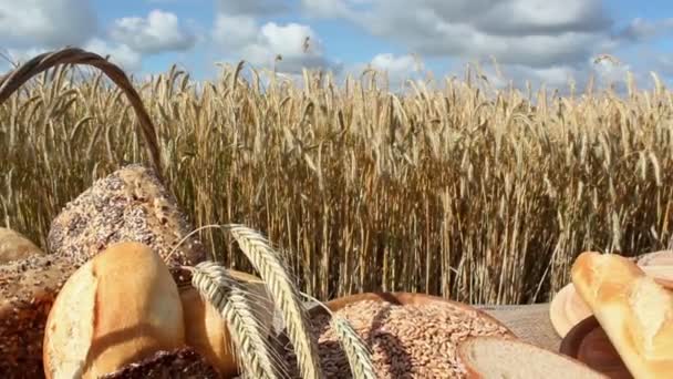 Pan y grano — Vídeos de Stock