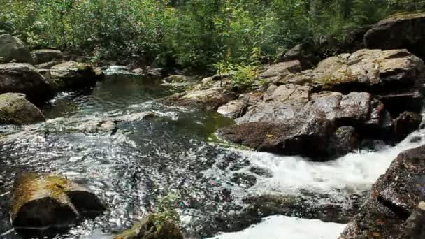 Fließendes Wasser — Stockvideo