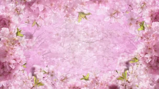 Flores da primavera — Vídeo de Stock