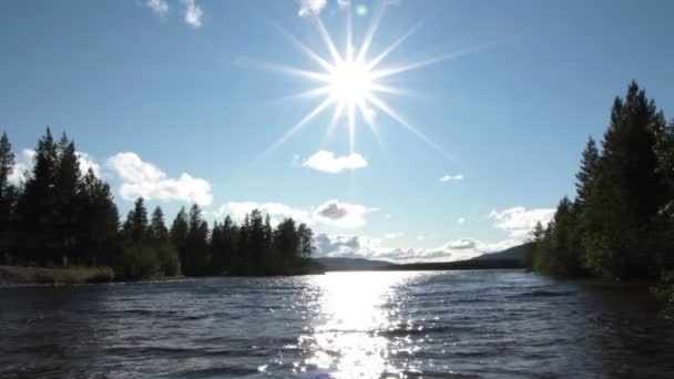 Lago ensolarado — Vídeo de Stock