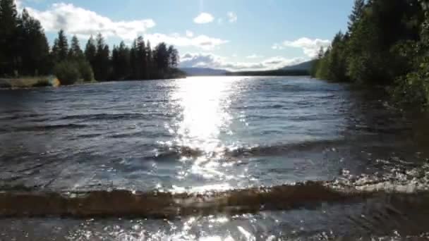 Lago ensolarado — Vídeo de Stock