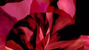 Renkli Sanat Arkaplan Canlandırma Döngüsü