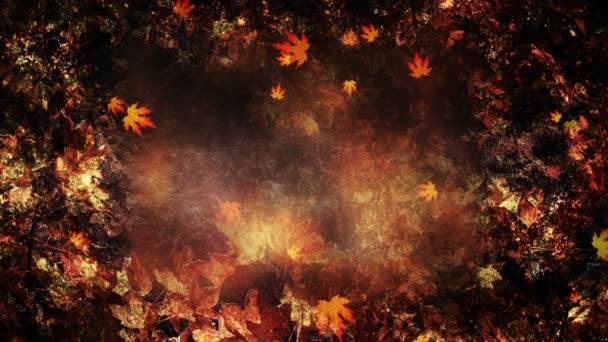 Fall Season Background Loop — Vídeo de Stock