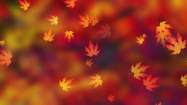 Fall Season Background Loop — Vídeo de Stock