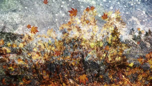 Fall Season Background Loop — 图库视频影像