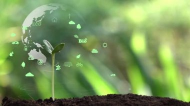 Çevre ekolojisi olan dünya, doğal arka planda hologram imzalar..