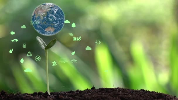 Terra Con Ecologia Ambientale Segno Ologramma Sfondo Naturale — Video Stock