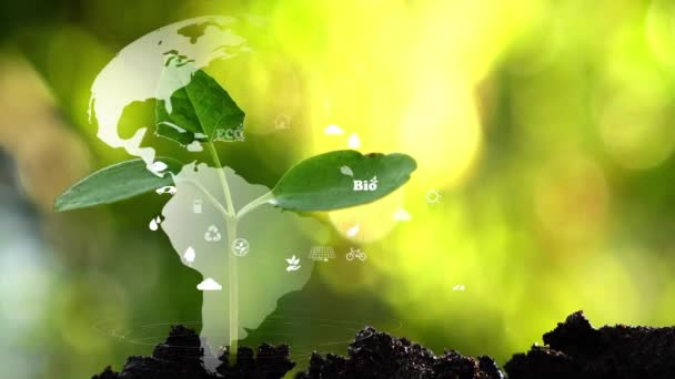 Земля Знаком Екології Навколишнього Середовища Голограма Природному Фоні — стокове відео