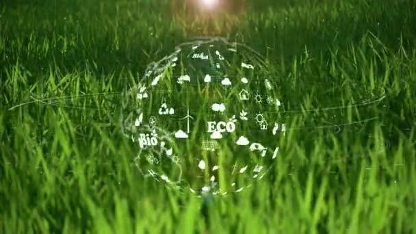 Aarde Groen Gras Achtergrond Met Milieu Ecologie Teken Hologram Natuurlijke — Stockvideo